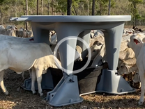 AllPoly Feeder Cattle Feed with Ease