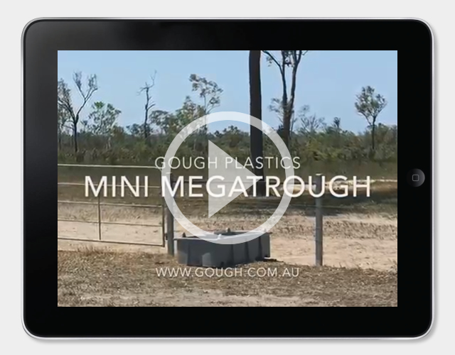 Mini MegaTrough Video